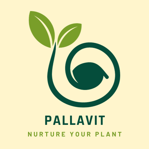 pallavit.com